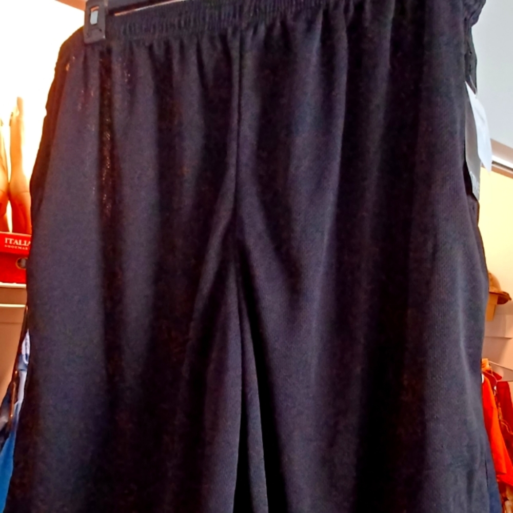 Victory Active Shorts Size 4X